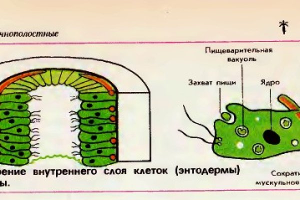 Дарк нет кракен