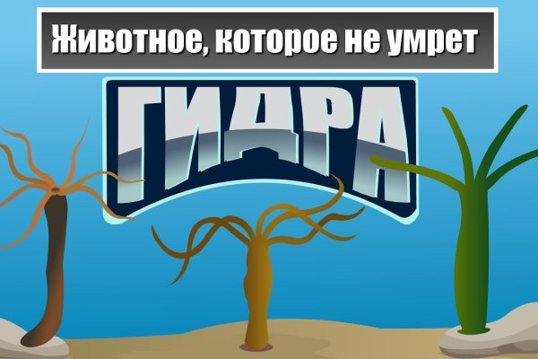 Кракен дарк нет